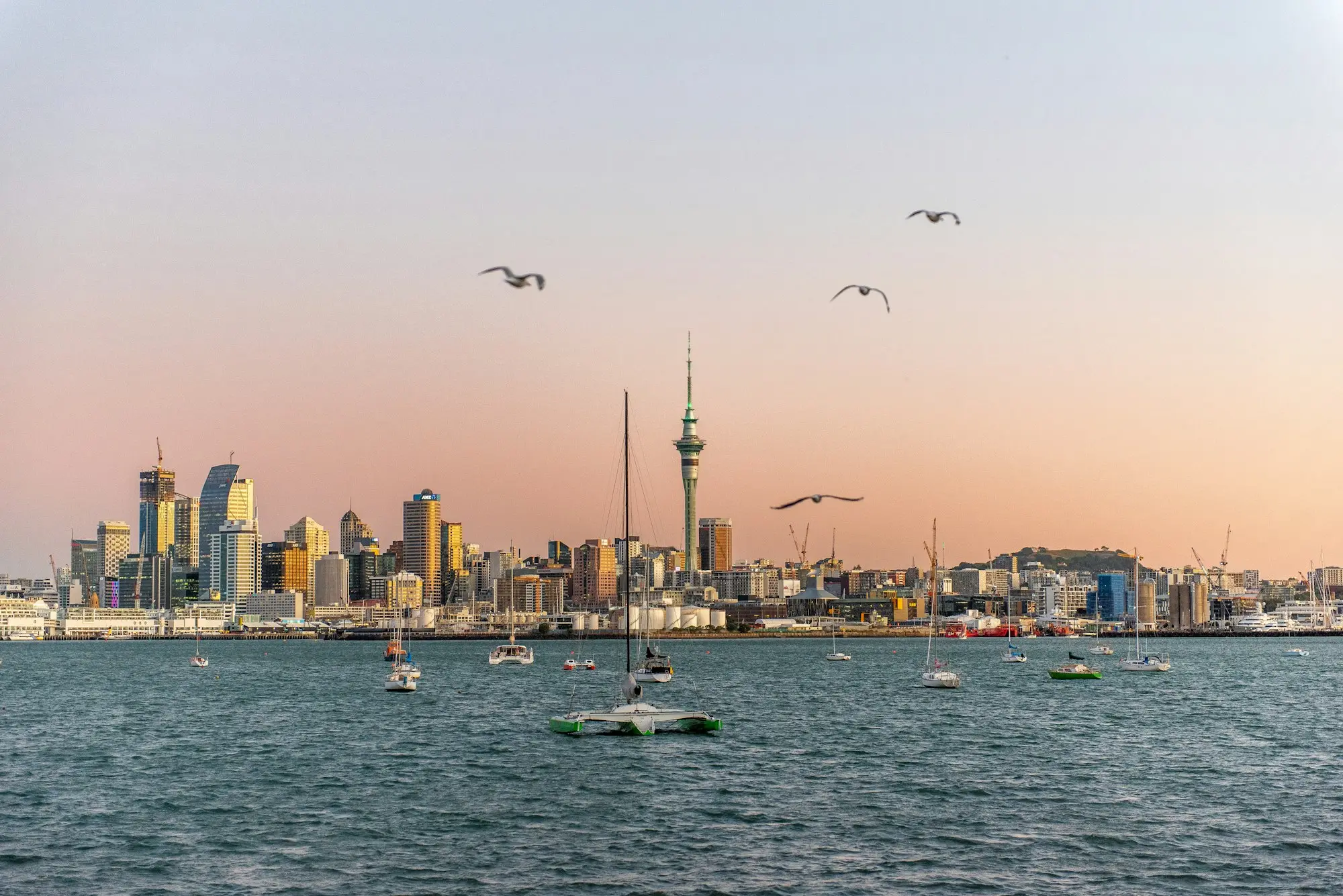 Auckland city skyline and Sky Tower at dusk seen across the harbour