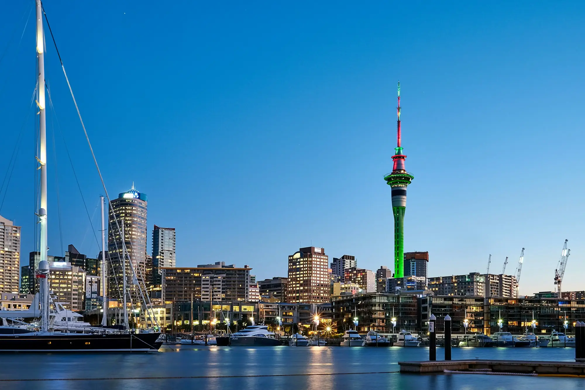 Auckland waterfront at dusk with the Sky Tower lit in festive red and green